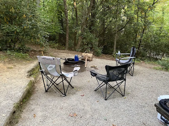 Van Hook Glade Campground Picture 4