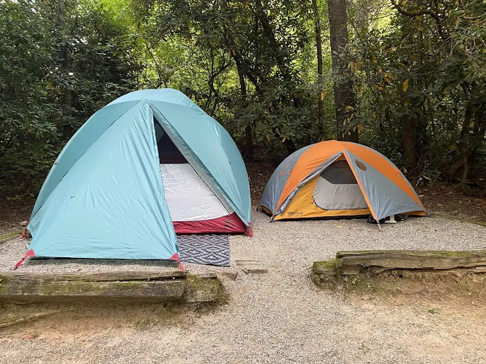 Van Hook Glade Campground Picture 2