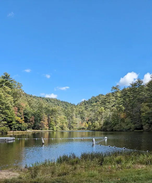 Van Hook Glade Campground Picture 3