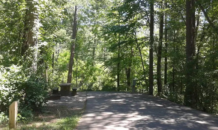 Van Hook Glade Campground Picture 10