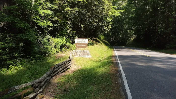 Van Hook Glade Campground Picture 6