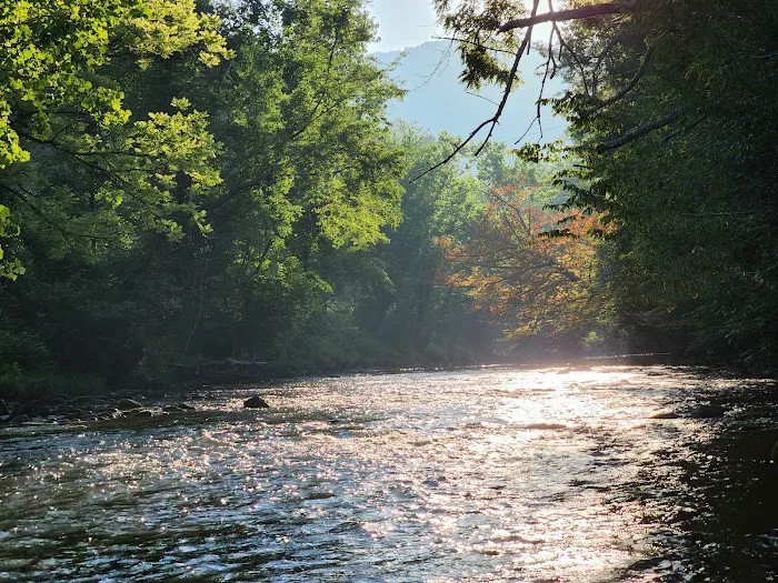 Peaceful Cove Campground Picture 6