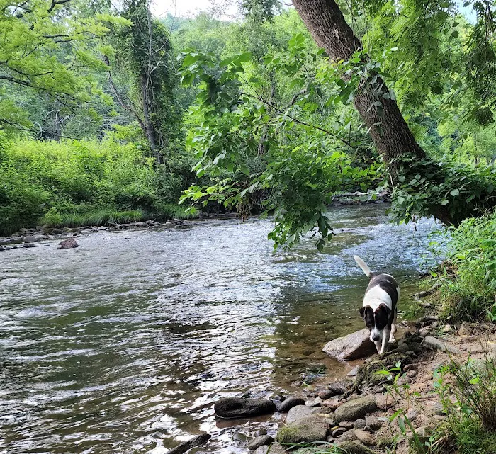 Peaceful Cove Campground Picture 4