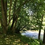 Peaceful Cove Campground