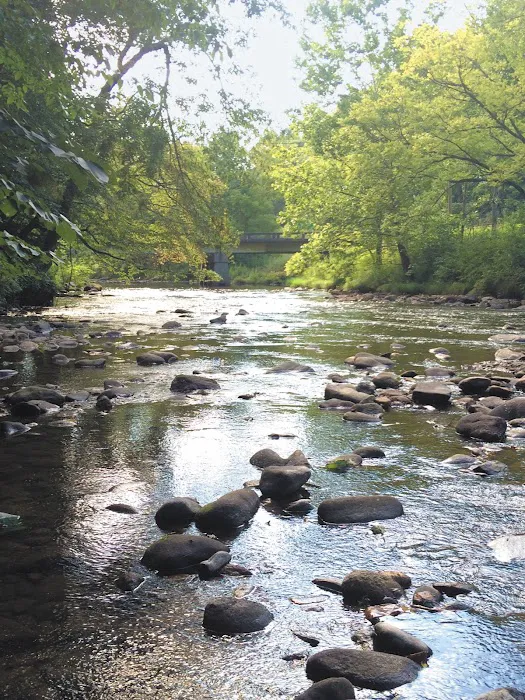 Peaceful Cove Campground Picture 5