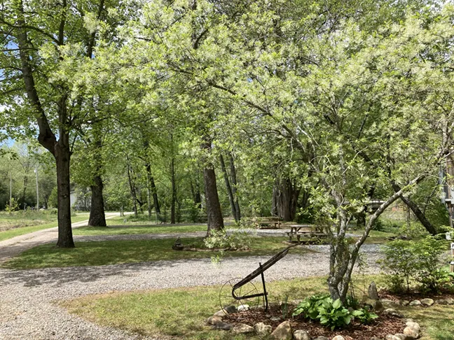 Peaceful Cove Campground Picture 10