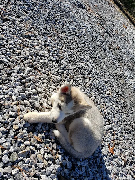 Old Corundum Millsite Campground Picture 4