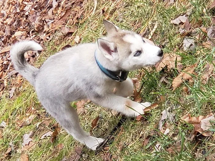 Old Corundum Millsite Campground Picture 7
