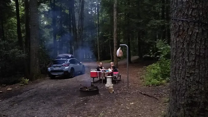 Blue Valley Roadside Camping Picture 1