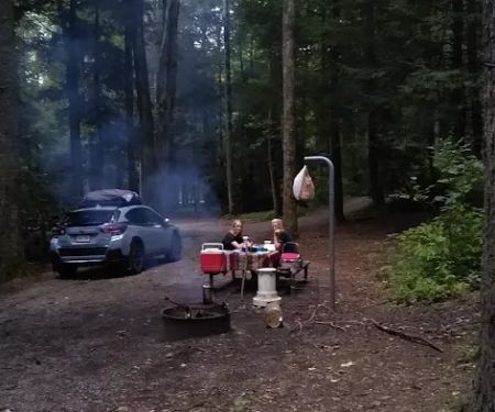 Blue Valley Roadside Camping