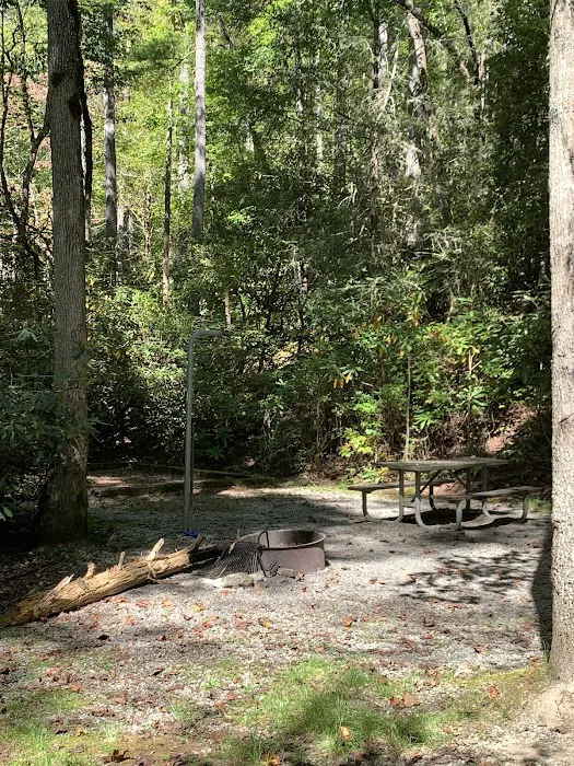 Blue Valley Roadside Camping Picture 2