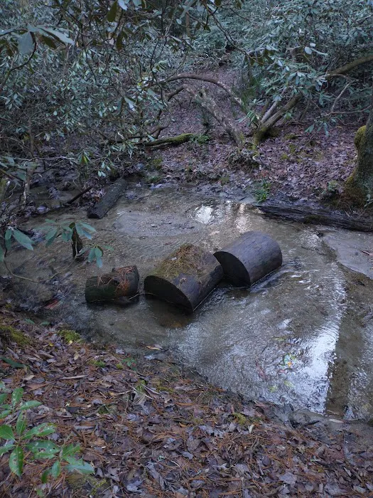 Blue Valley Roadside Camping Picture 4