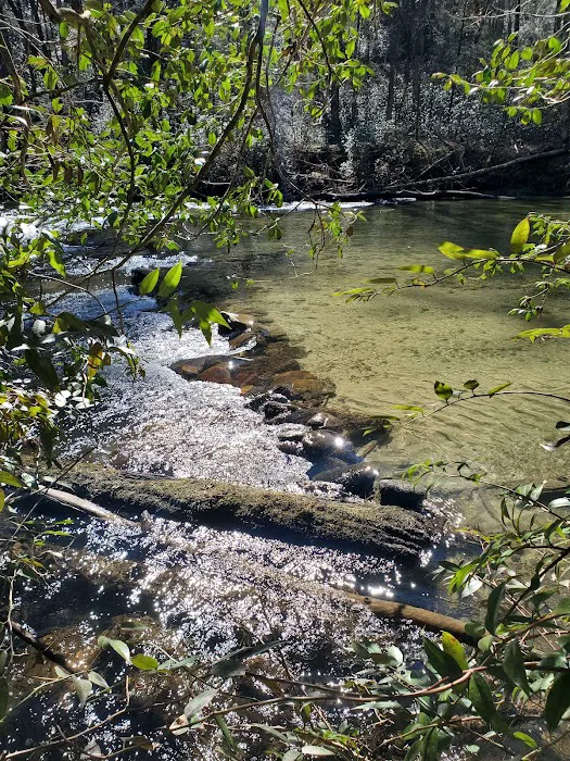 West Fork Campground Picture 4