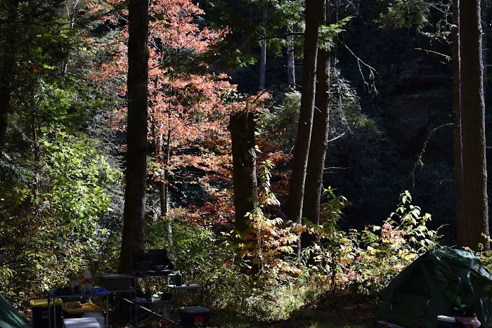 West Fork Campground Picture 1