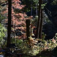West Fork Campground ico