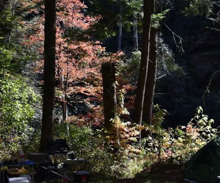 West Fork Campground