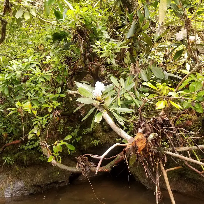 West Fork Campground Picture 6