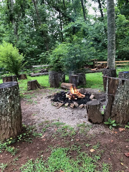 Nurture Nature Retreat Picture 2