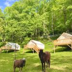 Nurture Nature Retreat