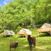 Nurture Nature Retreat ico