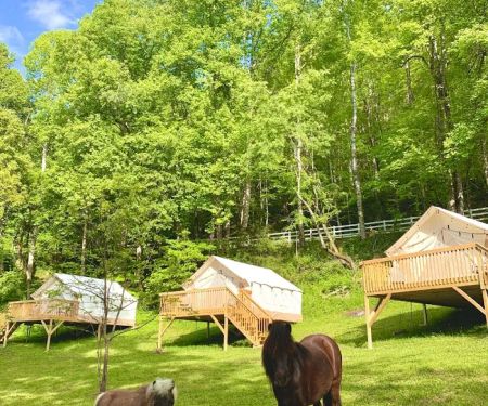 Nurture Nature Retreat