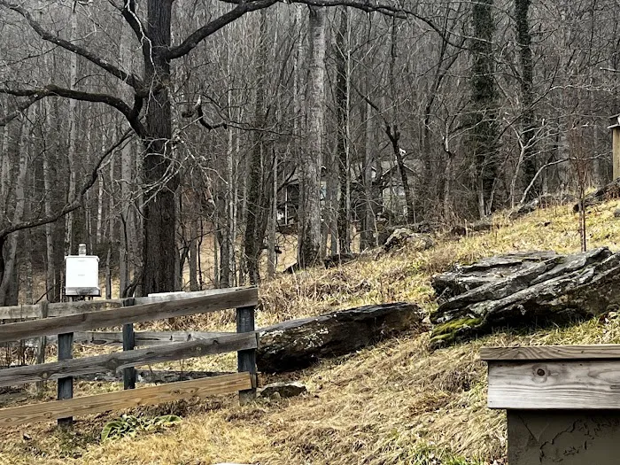 Nurture Nature Retreat Picture 7