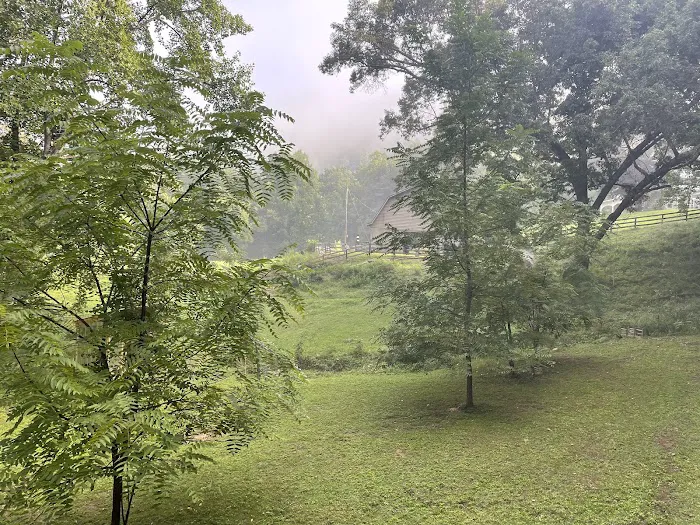 Nurture Nature Retreat Picture 4