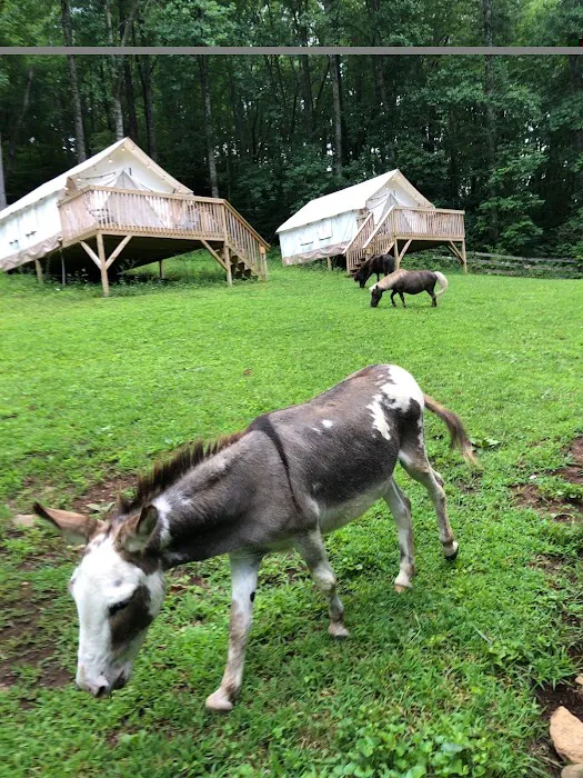 Nurture Nature Retreat Picture 5