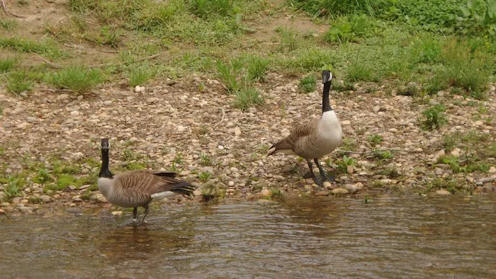 Riverbend RV Park-Campground by Hickory Knob Farms Picture 7
