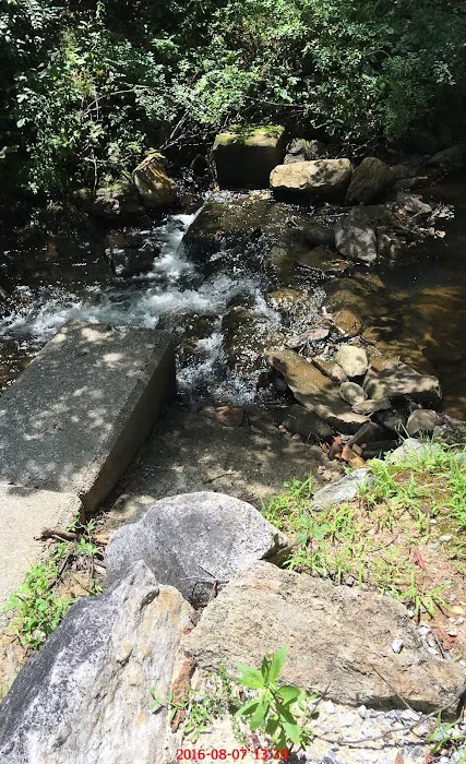 Riverbend RV Park-Campground by Hickory Knob Farms Picture 3