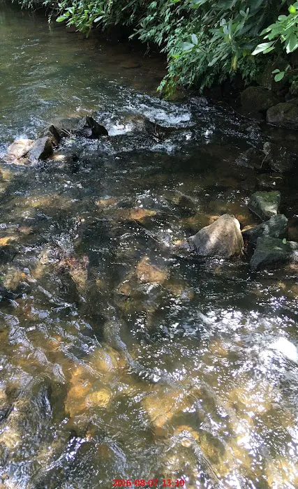 Riverbend RV Park-Campground by Hickory Knob Farms Picture 2