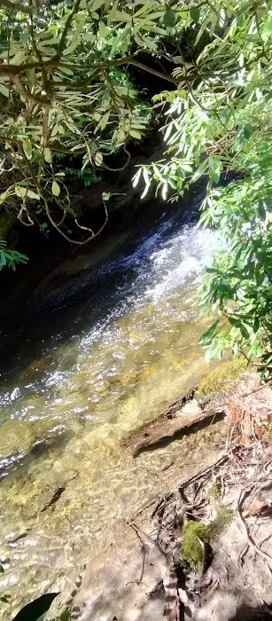 Blue Valley Campground Picture 2