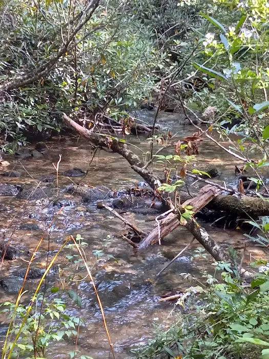 Blue Valley Campground Picture 3