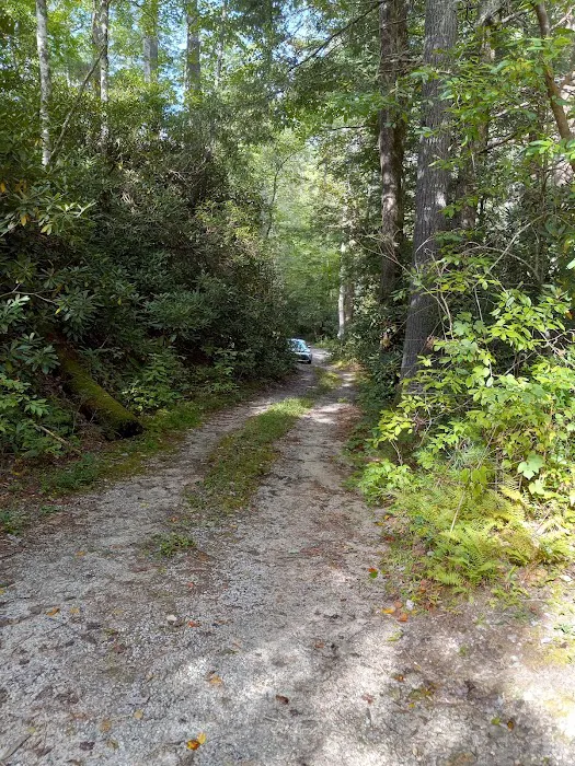 Blue Valley Campground Picture 4