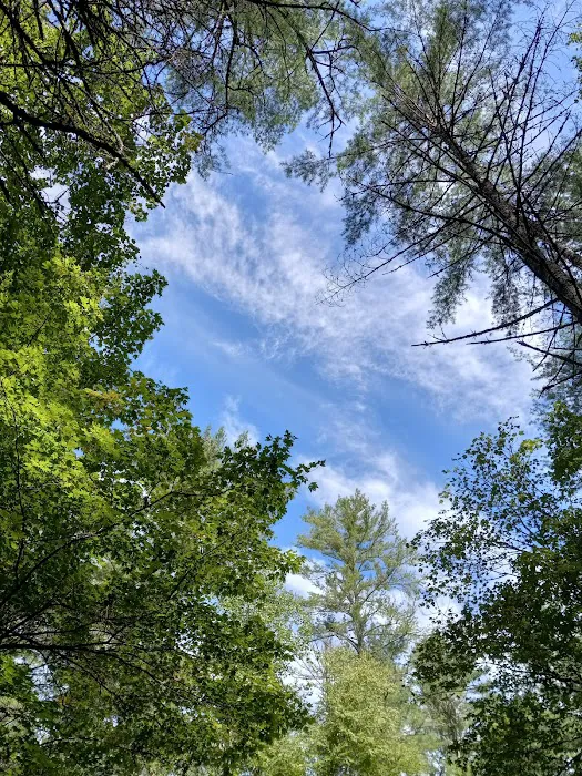 Blue Valley Campground Picture 5