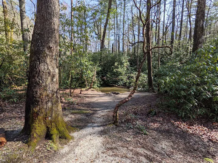 Blue Valley Campground Picture 7