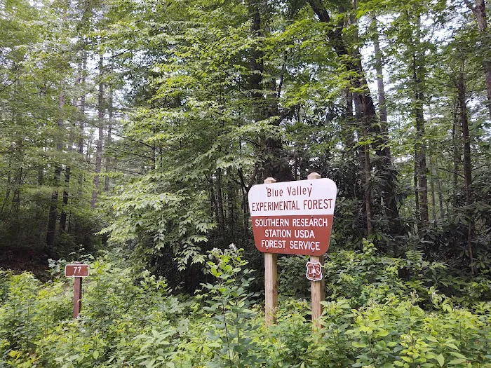 Blue Valley Campground Picture 8