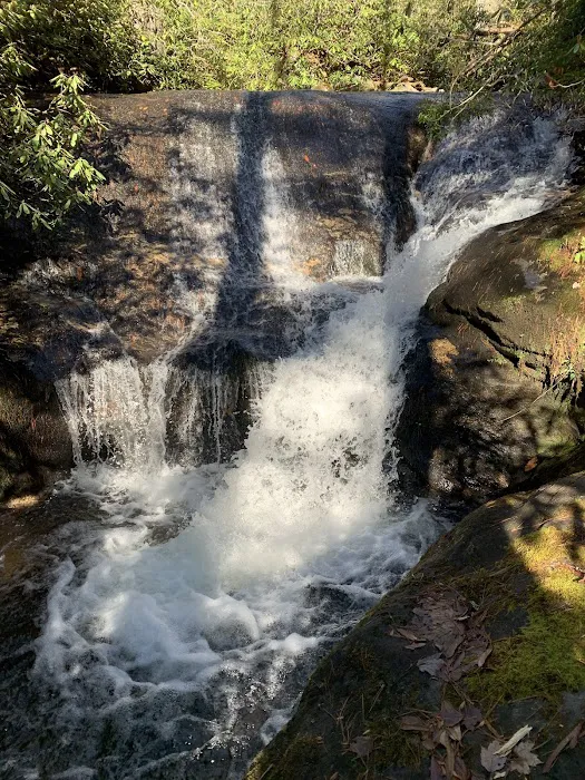 Blue Valley Campground Picture 10