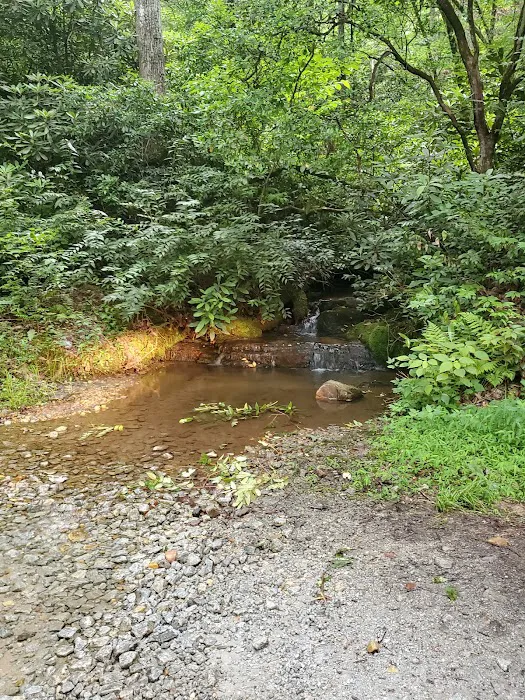 Low Water Campground Picture 7