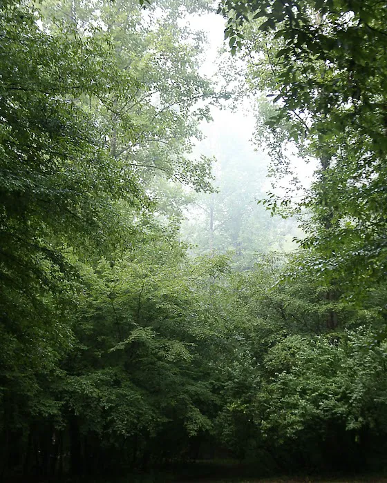 Low Water Campground Picture 10