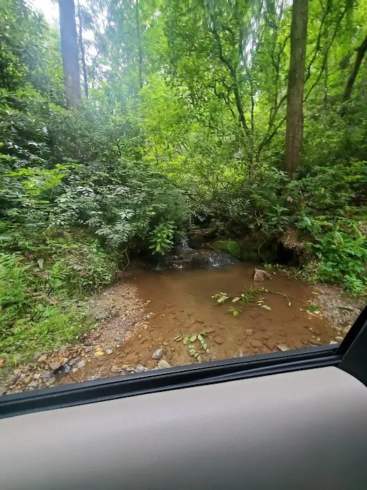 Low Water Campground Picture 5