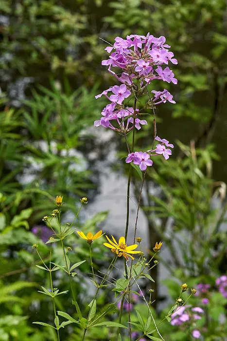 Low Water Campground Picture 4