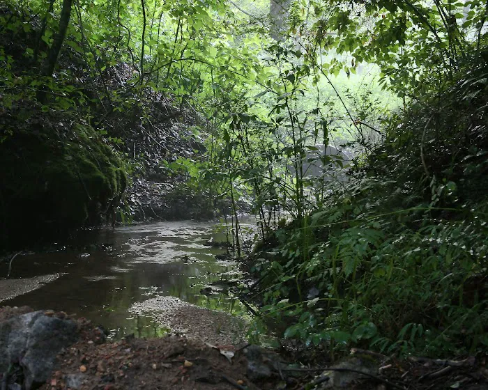 Low Water Campground Picture 6