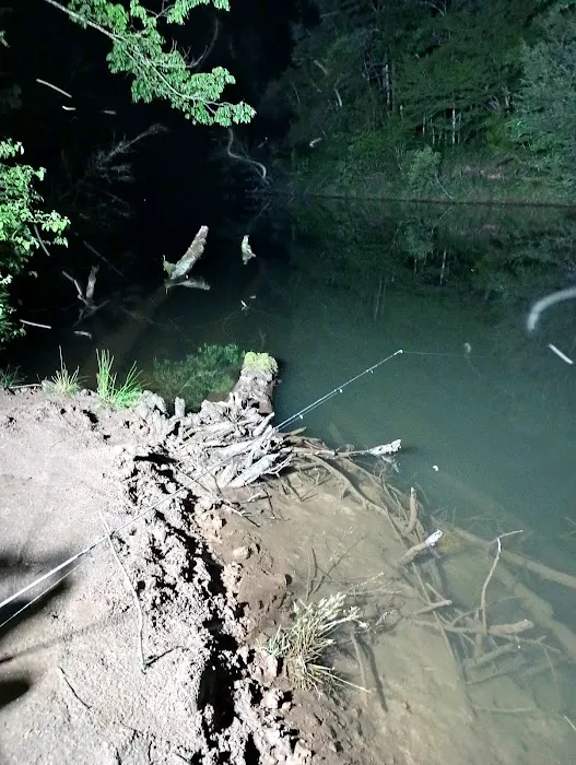 Low Water Campground Picture 9