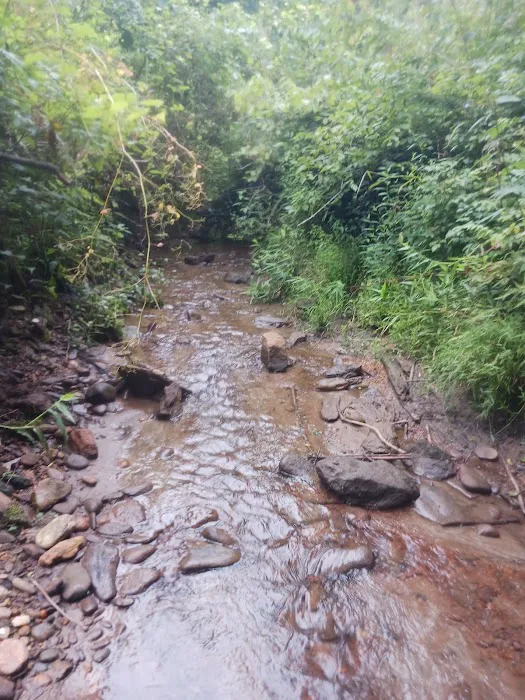 Low Water Campground Picture 8