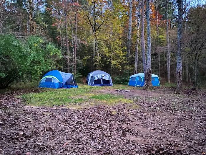 Low Water Campground Picture 1