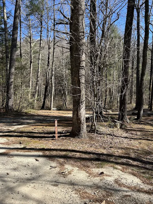 Sarah's Creek Campground Picture 6