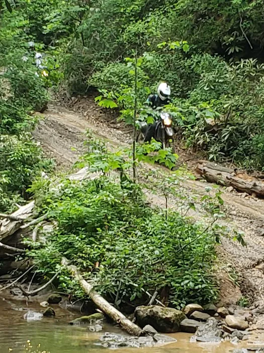 Sarah's Creek Campground Picture 8