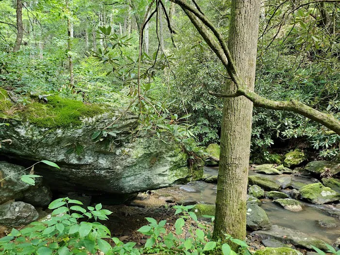 Sarah's Creek Campground Picture 2