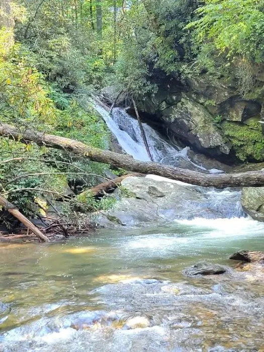 Sarah's Creek Campground Picture 10